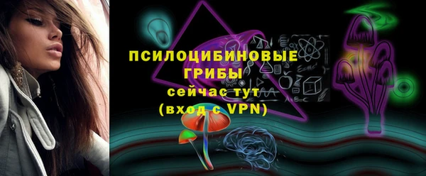 2c-b Покачи