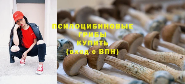 бошки Покровск