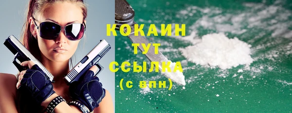 тгк Алексин