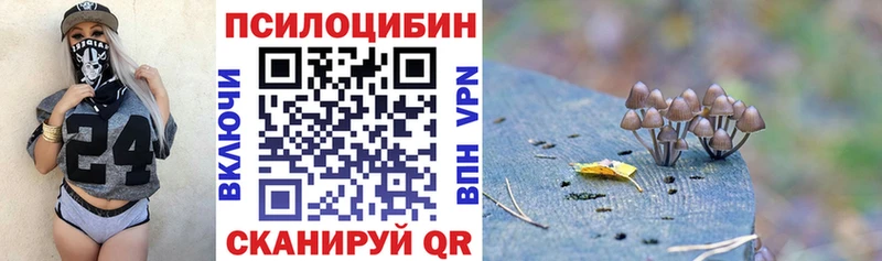 Галлюциногенные грибы Psilocybine cubensis Чистополь
