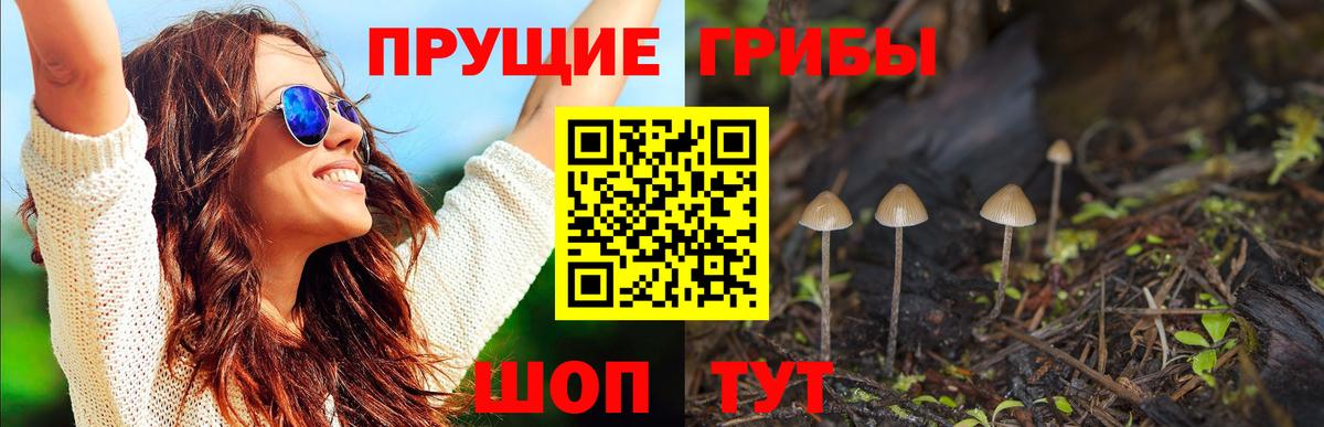 где продают   Псилоцибиновые грибы мухоморы  Вход с VPN  Чистополь 